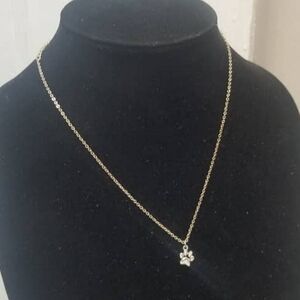 Silver Paw 🐾 Pendant Goldtone Necklace🌴